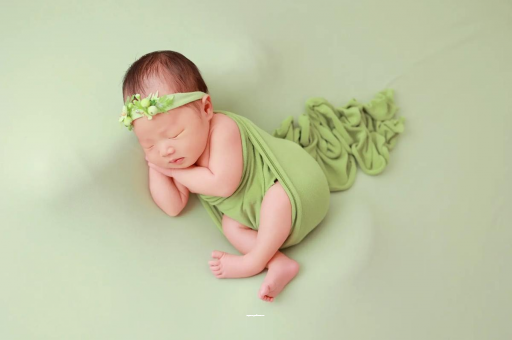 松滋孕妇不能接触的花 松滋孕妇不能接触的花